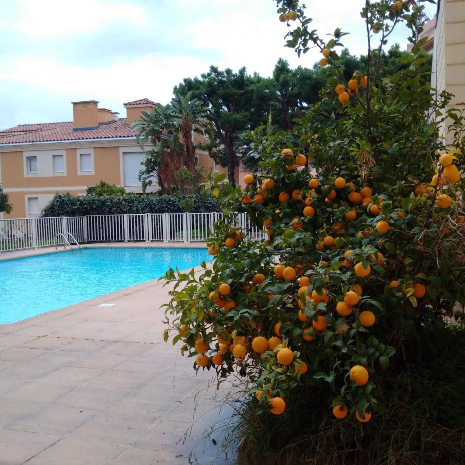 Direct Monaco Studio Devant Piscine Beausoleil Esterno foto